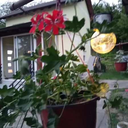 Lux Snezana Διαμέρισμα Vrdnik Εξωτερικό φωτογραφία